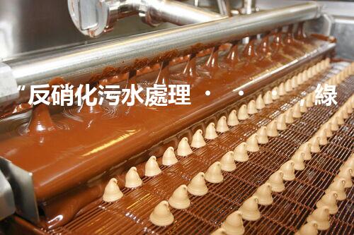 “反硝化污水處理，綠色環(huán)保新篇章”